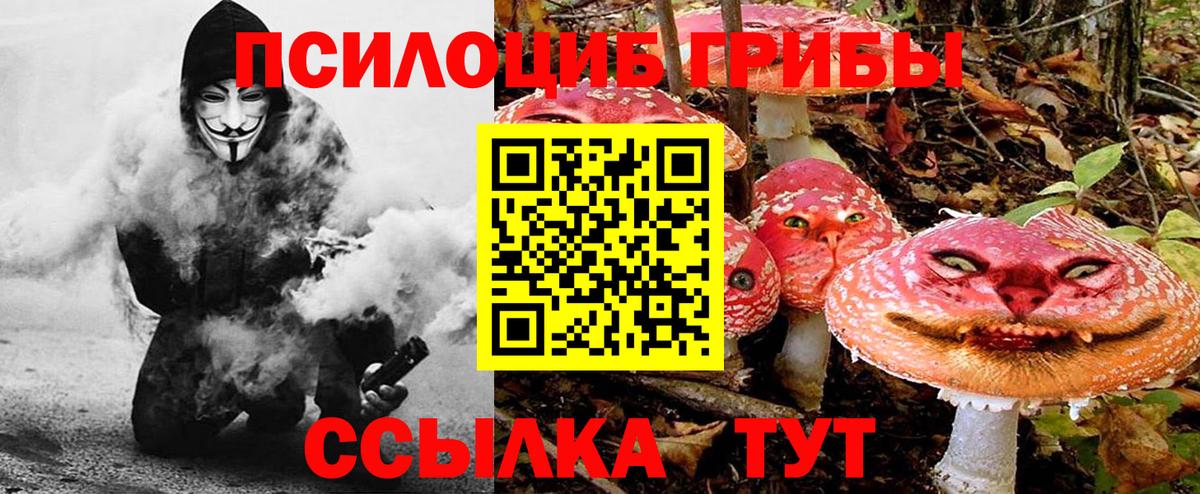 Псилоцибиновые грибы мухоморы Ульяновск